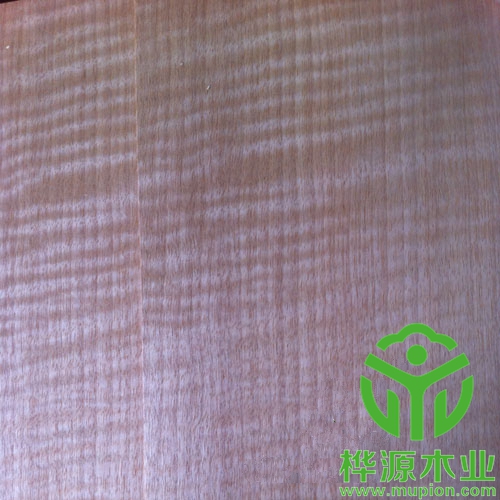 紅影木皮0.5mm品質(zhì)無憂，安利格影木皮優(yōu)質(zhì)供應(yīng)