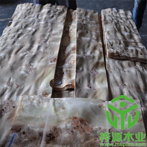 白楊樹榴木皮風(fēng)格多樣,0.5mm樹榴木皮價(jià)格優(yōu)惠