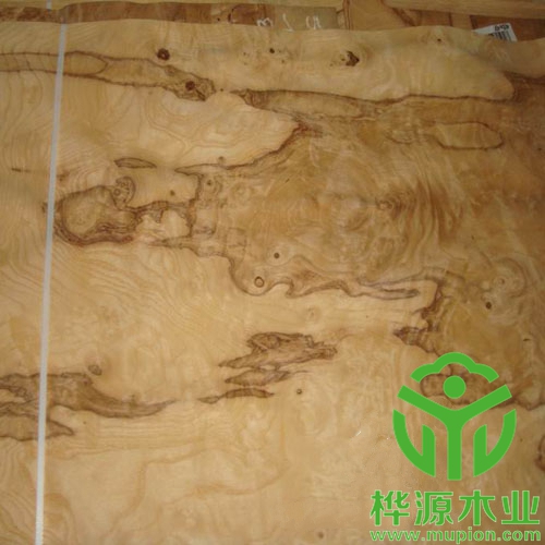 橄欖樹榴木皮0.5mm質(zhì)量保證，橄欖樹榴木皮價(jià)格實(shí)惠