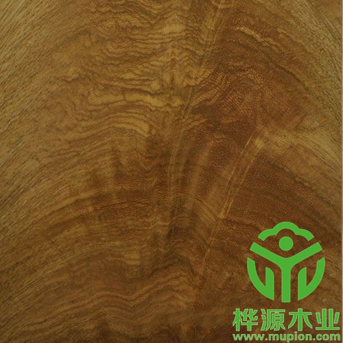 0.5mm金杈木皮品質(zhì)無憂，高檔樹杈木皮價(jià)格優(yōu)惠