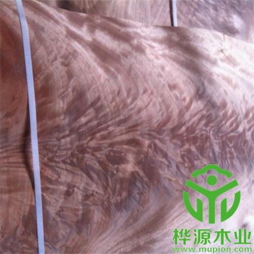 奧古曼樹杈木皮價(jià)格優(yōu)惠，0.5mm樹杈木皮品質(zhì)好
