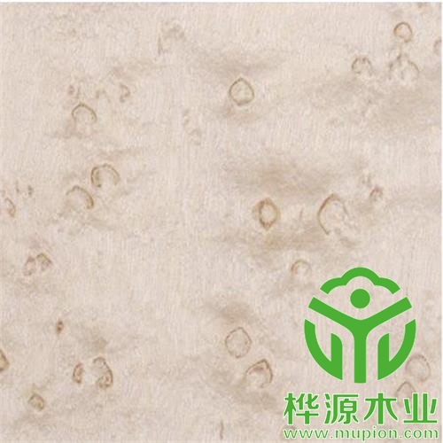 雀眼染色木皮0.5mm價(jià)格實(shí)惠 ，染色木皮廠家直銷